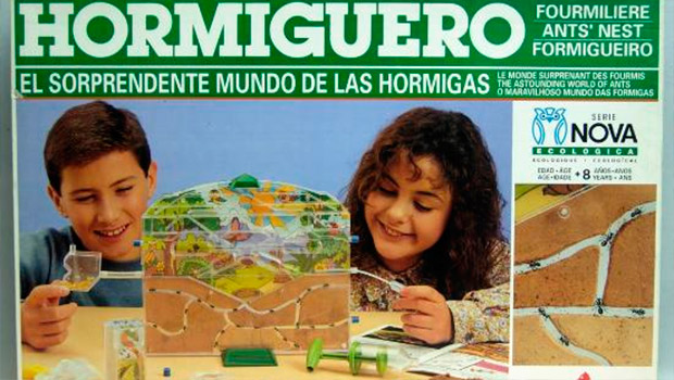 Hormiguero-Mediterráneo