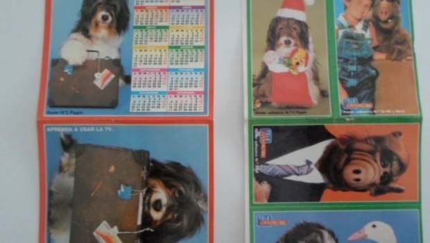 perro pippin teleindiscreta