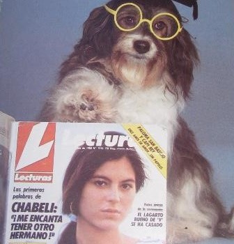 Revista Perra Pippin