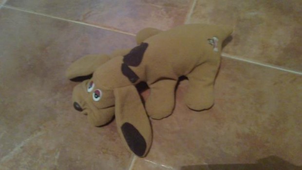 Triston Perro