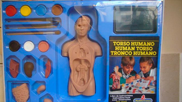 Torso-Humano-Mediterraneo