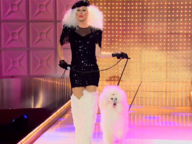 Rupauls Drag Race Perros