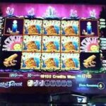 Planificador de Pagos: Crystal Roll Casino Organiza Tus Cashouts para España