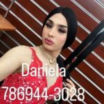 Call girls in Dallas, Texas include female escorts from Dallas.