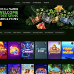 Bison Casino Polskie Kasyno Online 2025