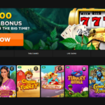 Bison Casino dwunastu bezpłatnych spinów wyjąwszy depozytu na początek 2025 Najlepsze bonusy po kasynach sieciowy