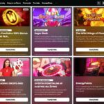 Energy and Management at Wild Robin Casino