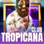 Review of Wildsino Casino 2026: Player Ratings and Our Conclusion