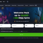 JeetCity Gambling establishment Bonus No deposit Incentive Rules