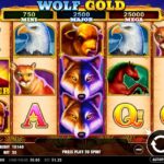 Where Luck Meets Transparency for Canada at Instant Casino