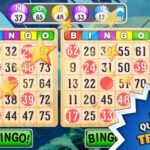 Celtic Casino Review 2026 Bonuses, Licenses, Games