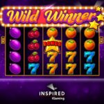 Santastic slot: Recenzija, podsticaji i besplatno uživanje