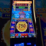 Διαχείριση Push ειδοποιήσεις για το Starlight Princess 1000 στην Ελλάδα