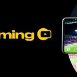 Basketball Football Forecasts, Analytics, Choice Info, Results